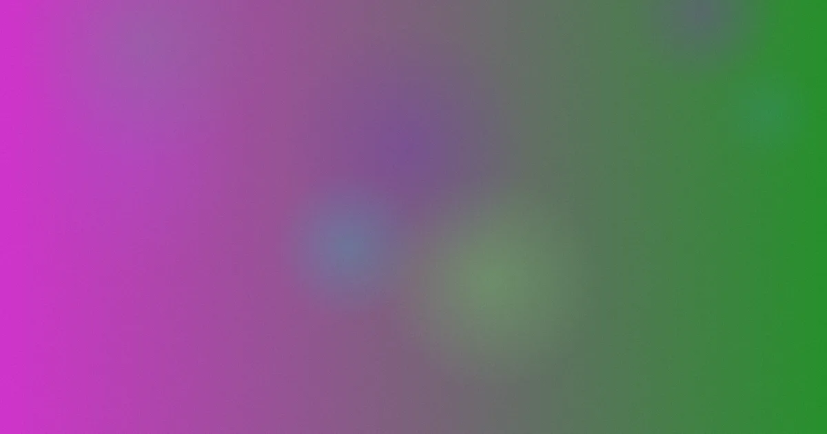 nini推荐：新手该怎么选